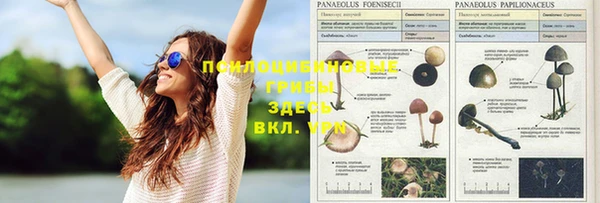 кокаин Арсеньев