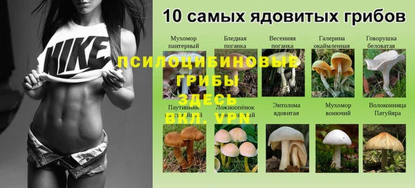а пвп мука Армянск