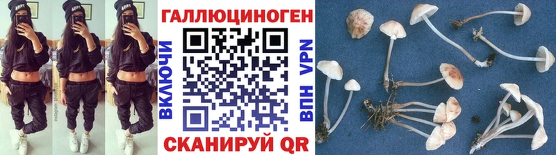 Псилоцибиновые грибы GOLDEN TEACHER продажа наркотиков Сретенск